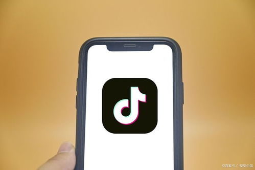 深度抖音小程序定制開發(fā)與SCM軟件系統(tǒng)定制開發(fā) 打造獨(dú)一無二的用戶體驗(yàn)與供應(yīng)鏈管理效能